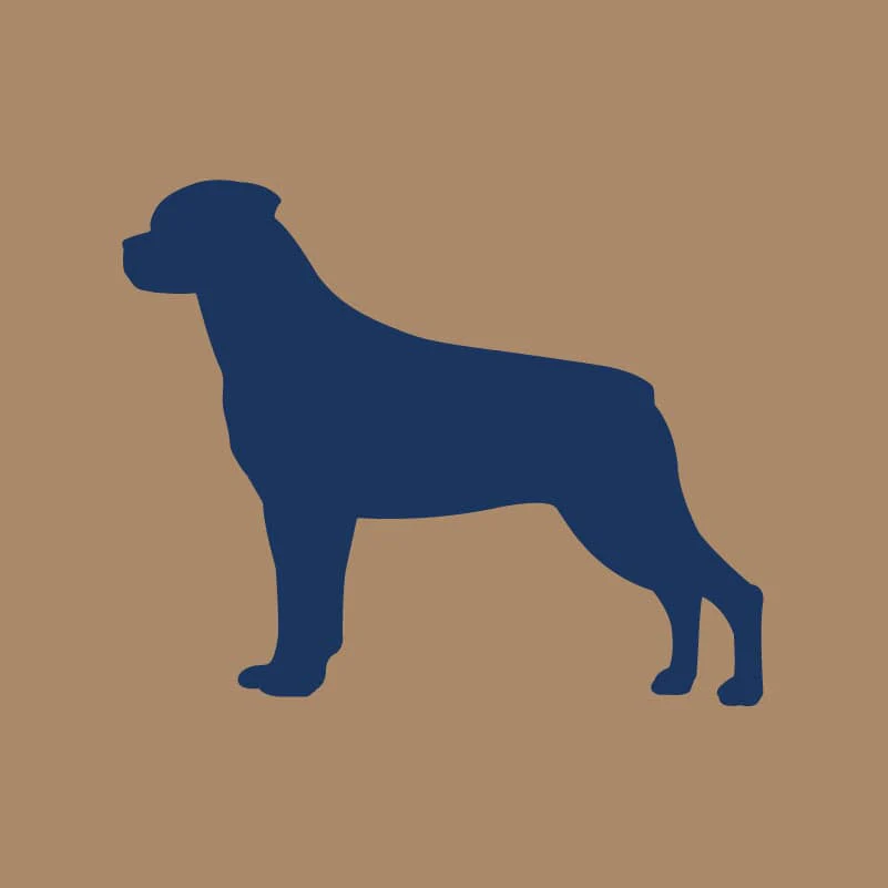 Rottweiler AKC Embroidered Visor - Image 6