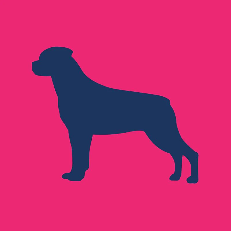 Rottweiler Infant Onesie - Image 4