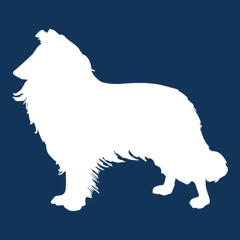Collie AKC Embroidered Visor - Image 2