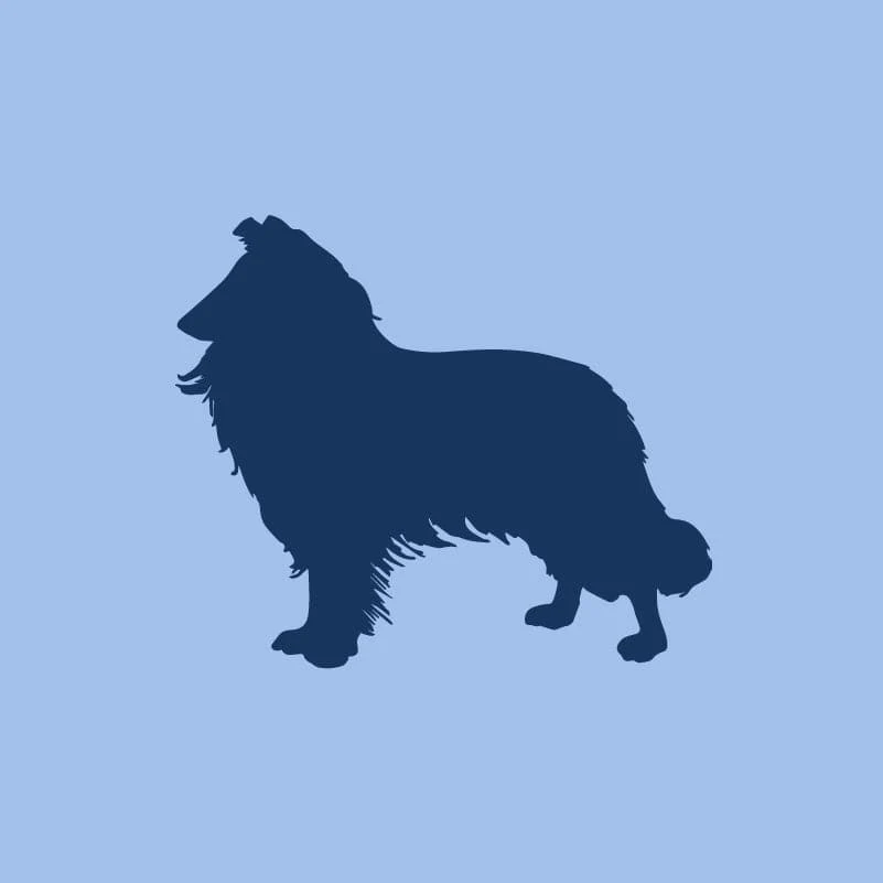 Rough Collie Toddler Full Zip Sweatshirt - Image 4