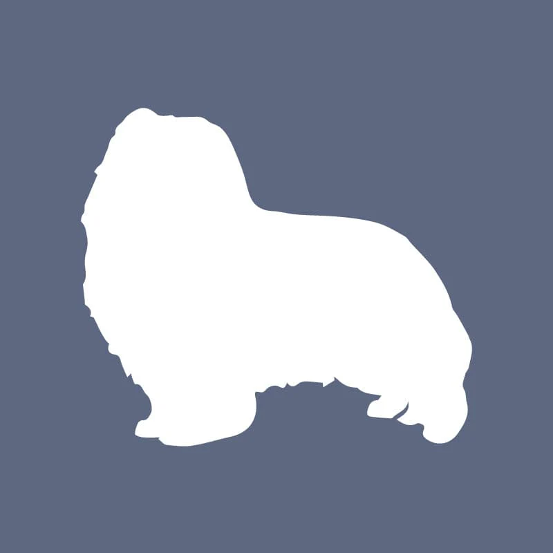 Shetland Sheepdog - Beanie - Image 6