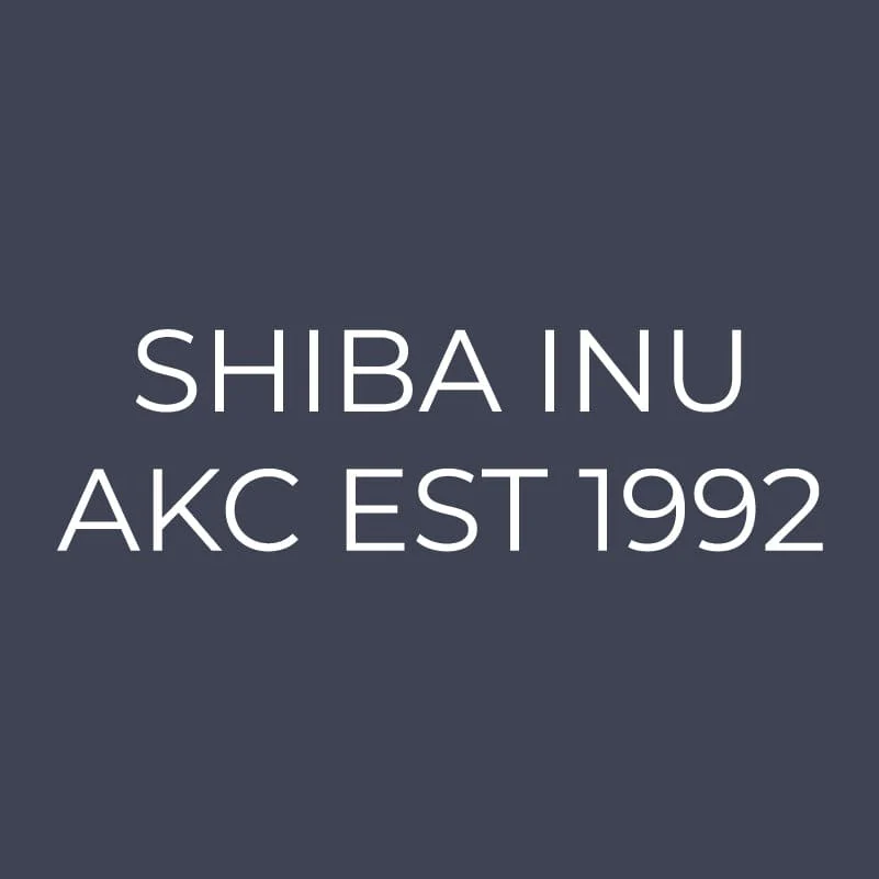 Shiba Inu Embroidered AKC Quarter Zip - Image 12