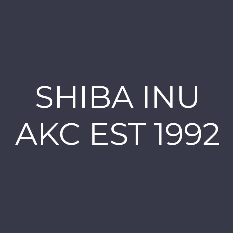 Shiba Inu Embroidered AKC Women's Polo - Image 3