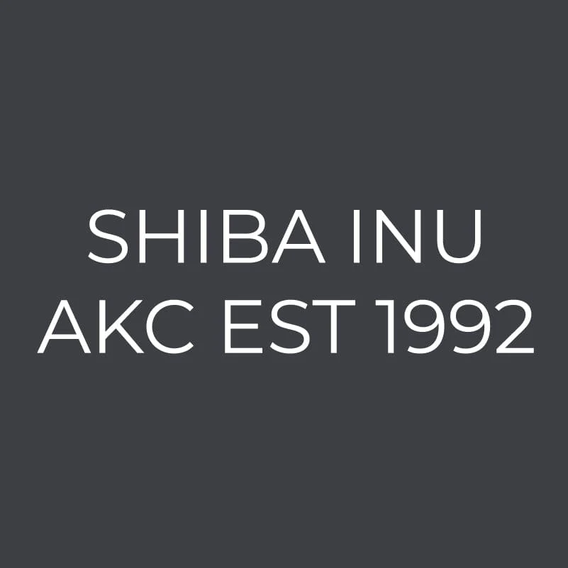 Shiba Inu Embroidered AKC Women's Polo - Image 6