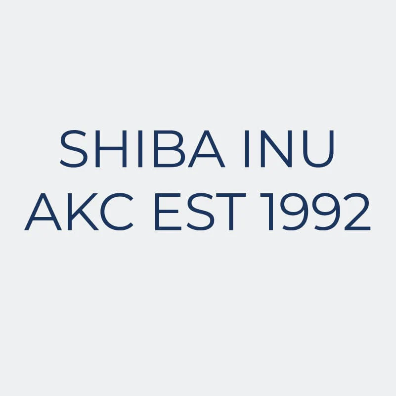 Shiba Inu Embroidered AKC Women's Polo - Image 9