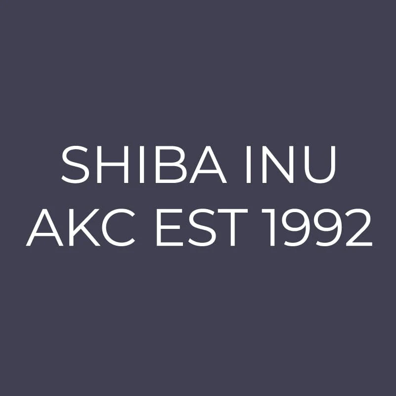 Shiba Inu Embroidered AKC Men's Polo - Image 9