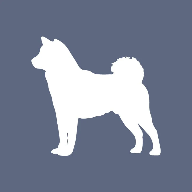 Shiba Inu - Beanie - Image 2