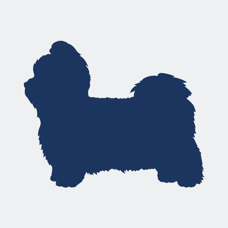 Shih Tzu  Embroidered AKC Women's Polo - Image 7