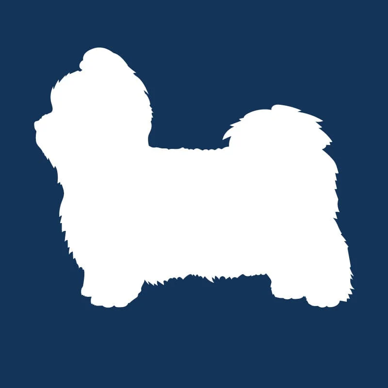 Shih Tzu AKC Embroidered Visor - Image 4