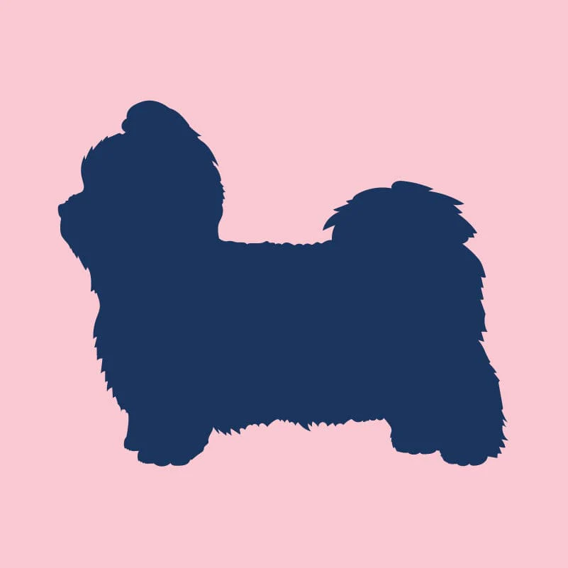 Shih Tzu Infant Onesie - Image 7