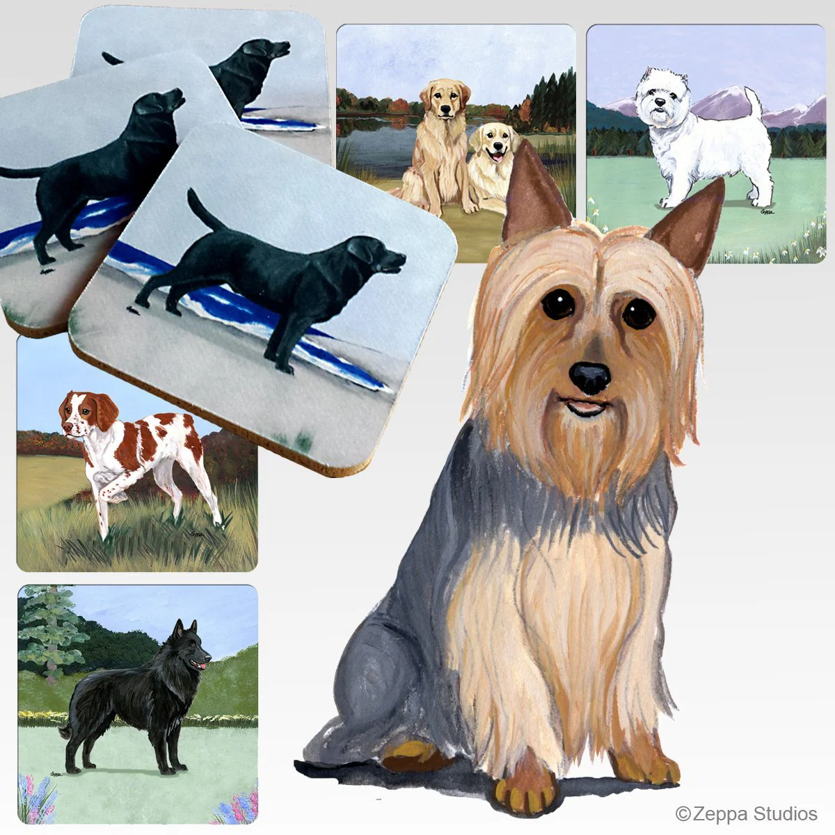Silky Terrier Scenic Square Coaster