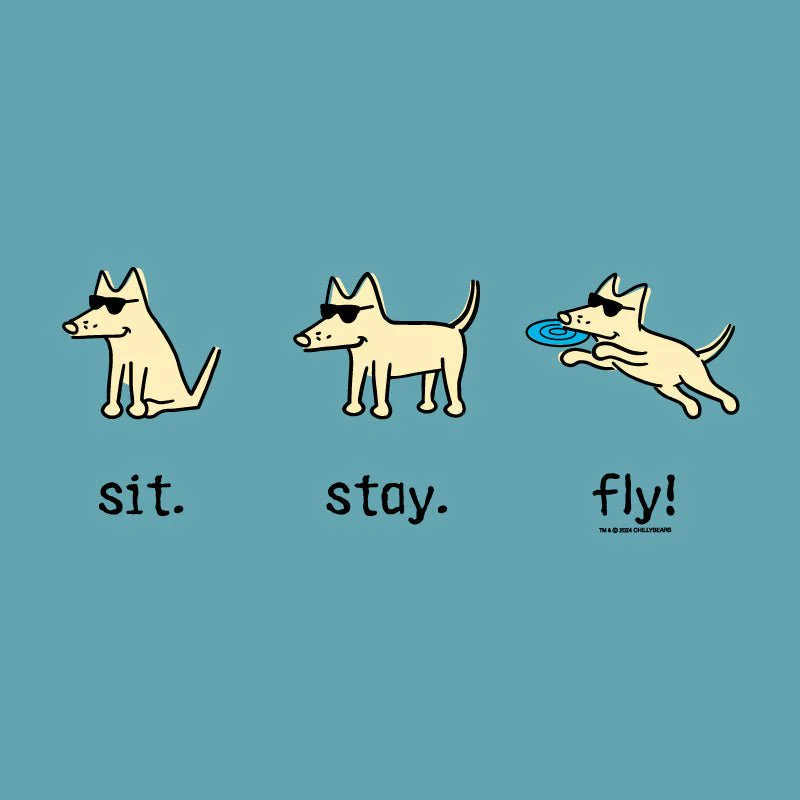 Sit Stay Fly  - Ladies Curvy V-Neck Tee - Image 2