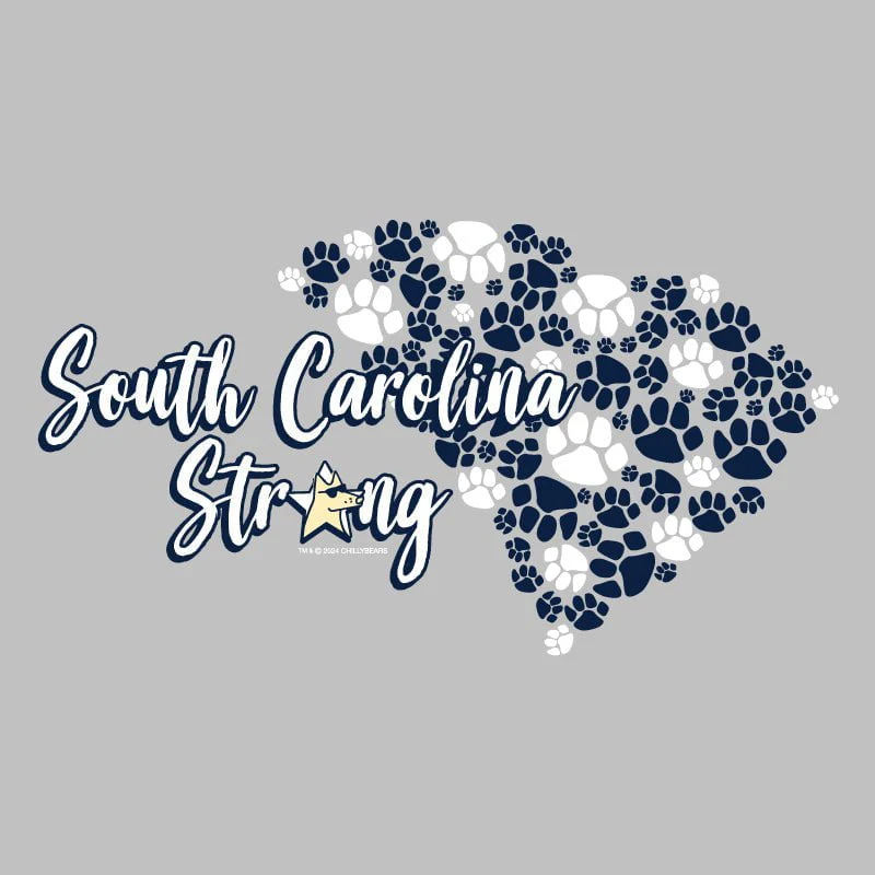 South Carolina Strong - Ladies T-Shirt V-Neck - Image 2