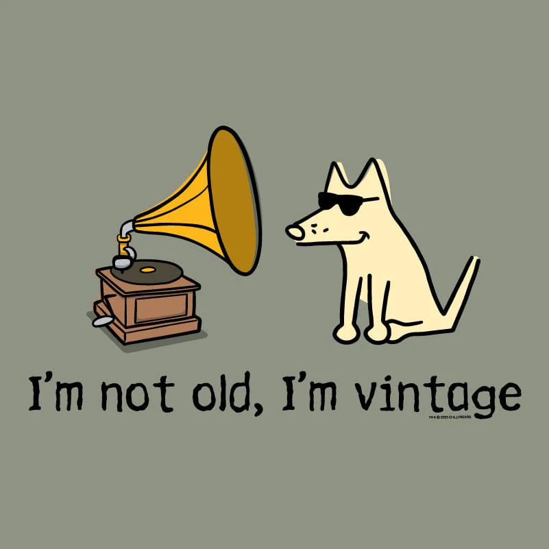 I'm Not Old I'm Vintage - Ladies Curvy V-Neck Tee - Image 2