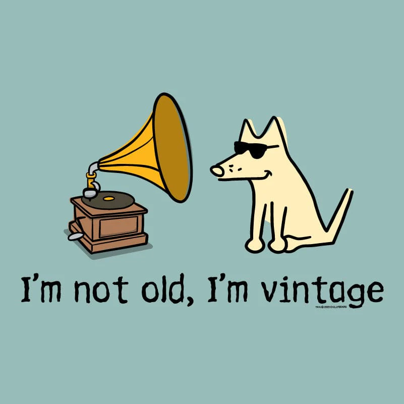 I'm Not Old I'm Vintage - Sweatshirt Pullover Hoodie - Image 2