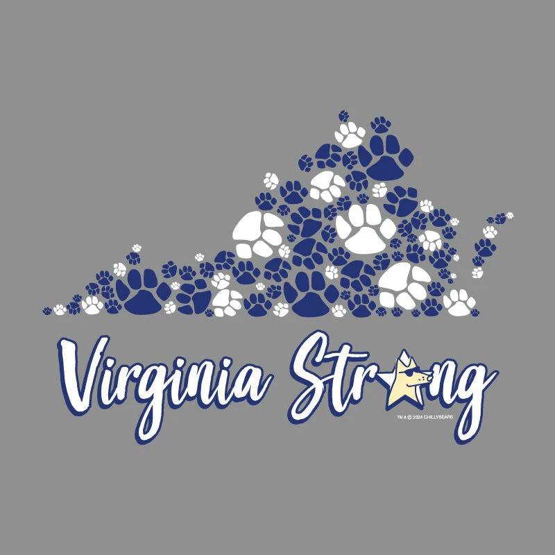Virginia Strong - Ladies Curvy V-Neck Tee - Image 2