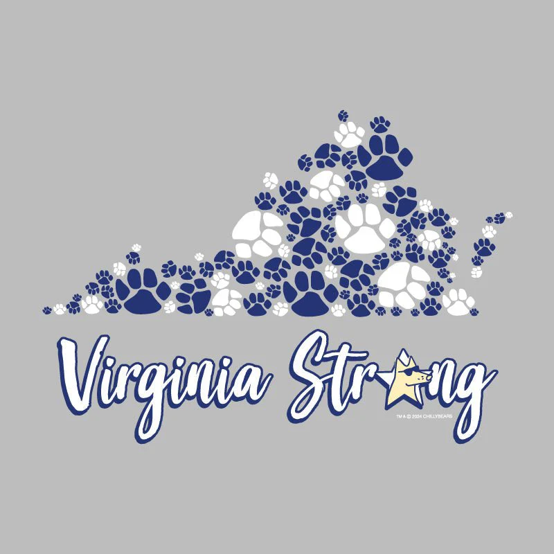 Virginia Strong - Ladies T-Shirt V-Neck - Image 2