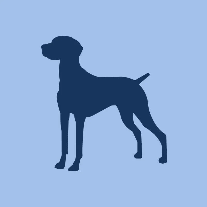 Vizsla Toddler Full Zip Sweatshirt - Image 2