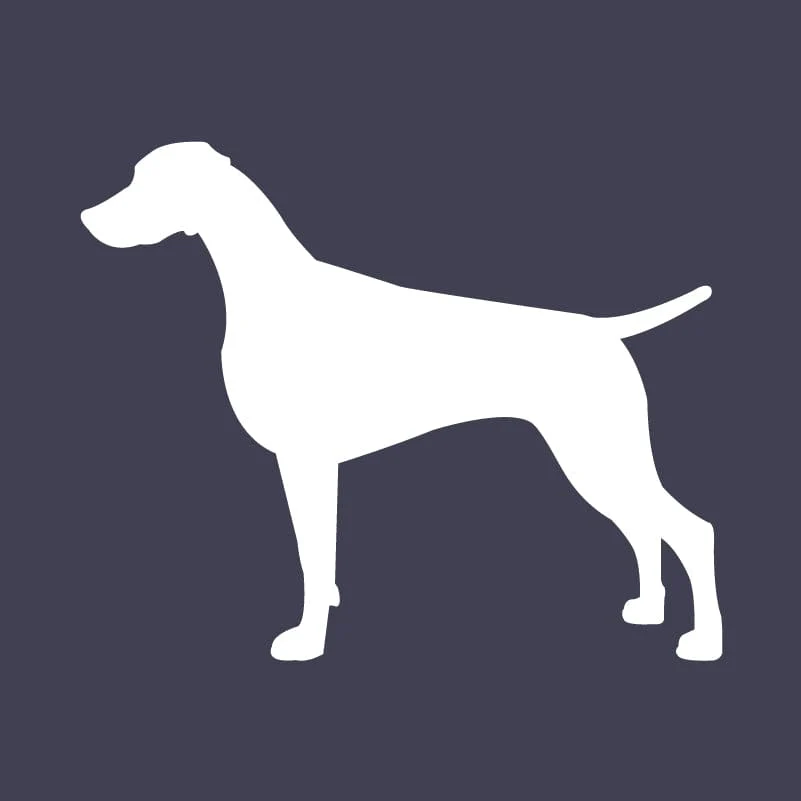 Weimaraner  Embroidered AKC Men's Polo - Image 7