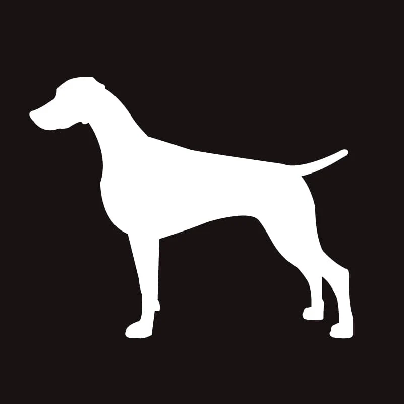 Weimaraner AKC Embroidered Visor - Image 4