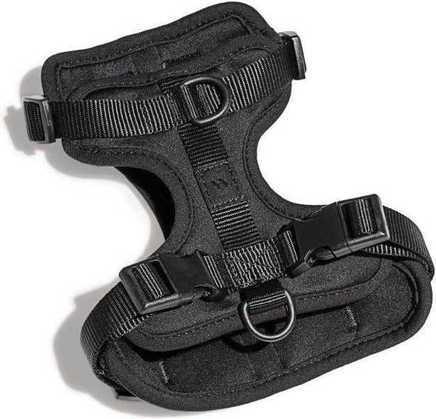 Wild One Adjustable Cushioned Dog Harness - Image 5