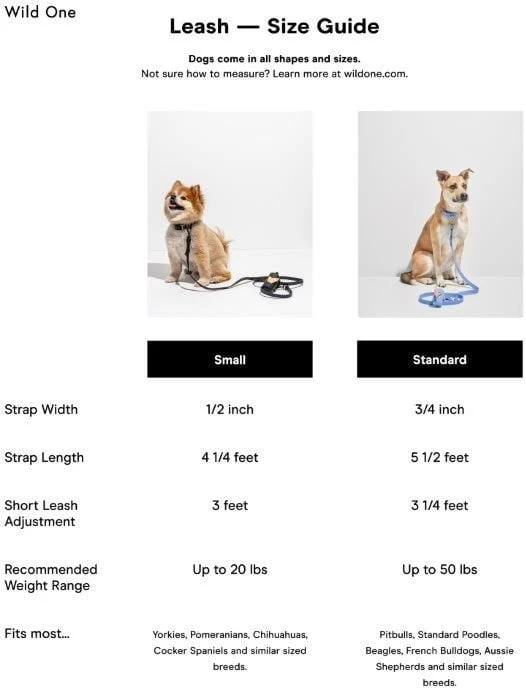 Wild One Adjustable Waterproof Flex-Poly Coated Nylon Leash - Image 7
